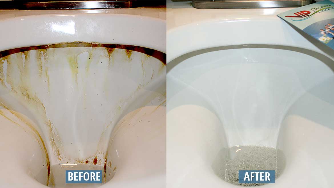 Toilet Seat cleaning before after